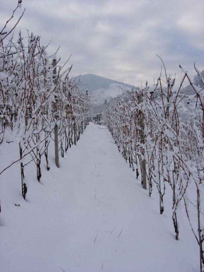 B&B San Valentino Giovo Exteriör bild